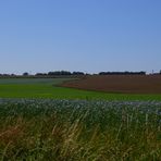 la campagne en été 