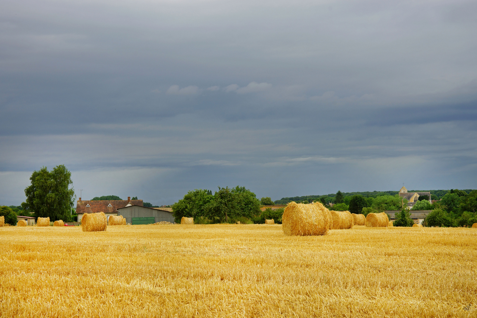 La campagne en été