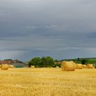 La campagne en été