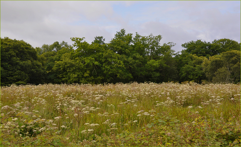 la campagne...