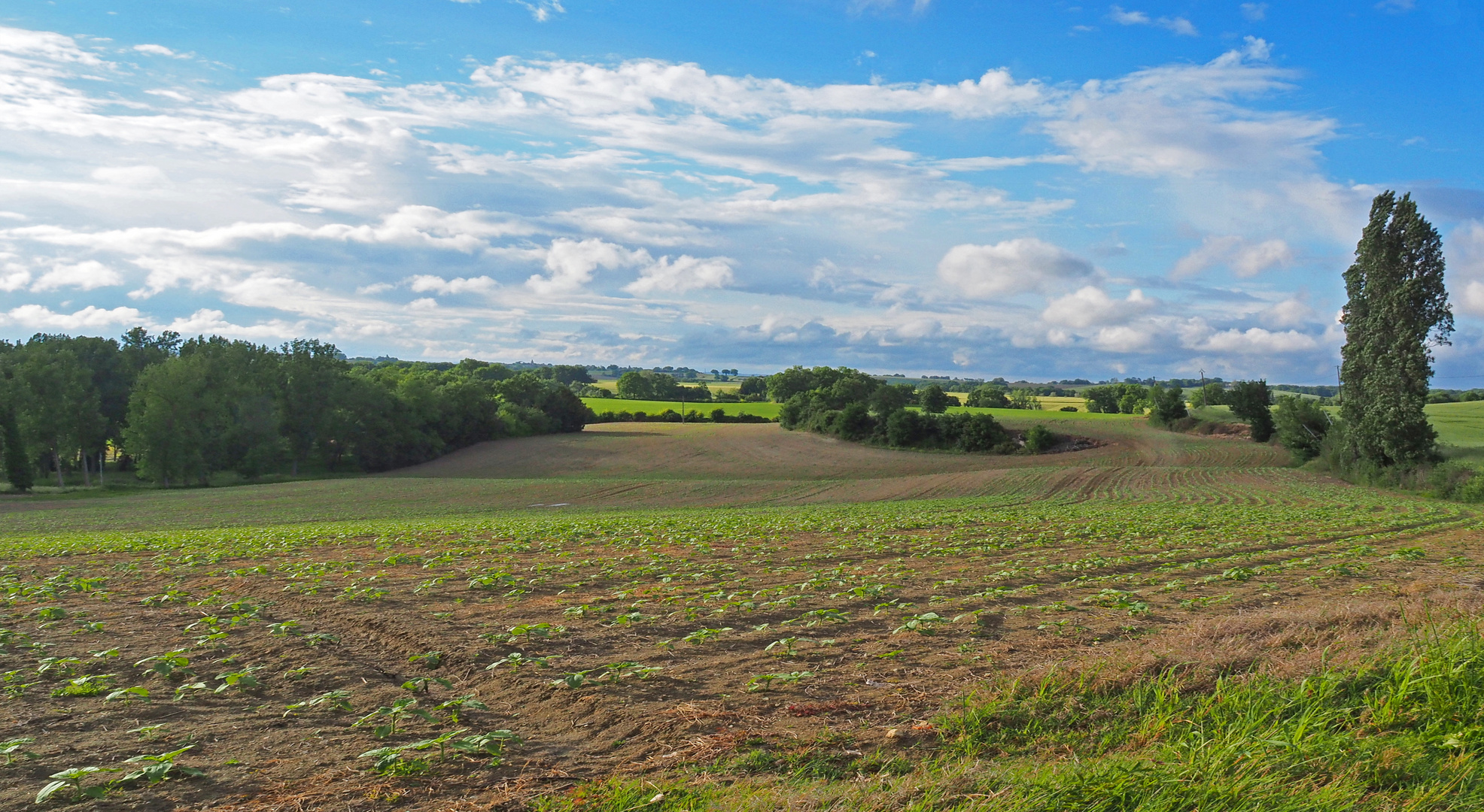 La campagne gersoise