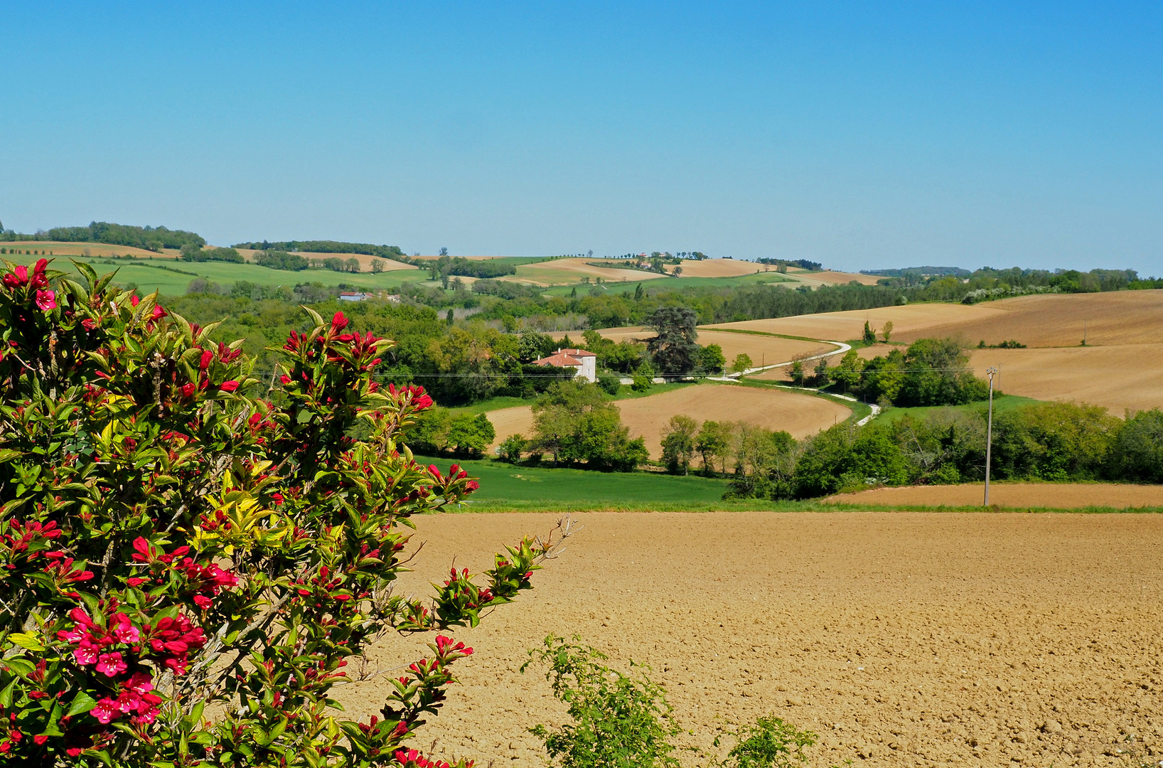 La campagne gersoise au printemps