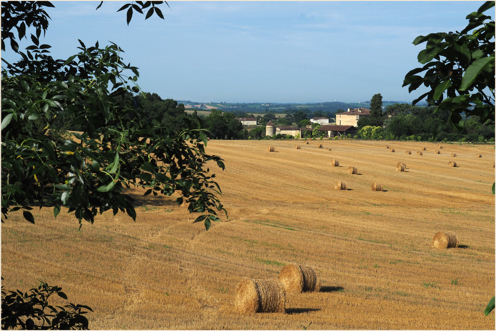 La campagne gersoise en juillet