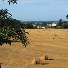 La campagne gersoise en juillet