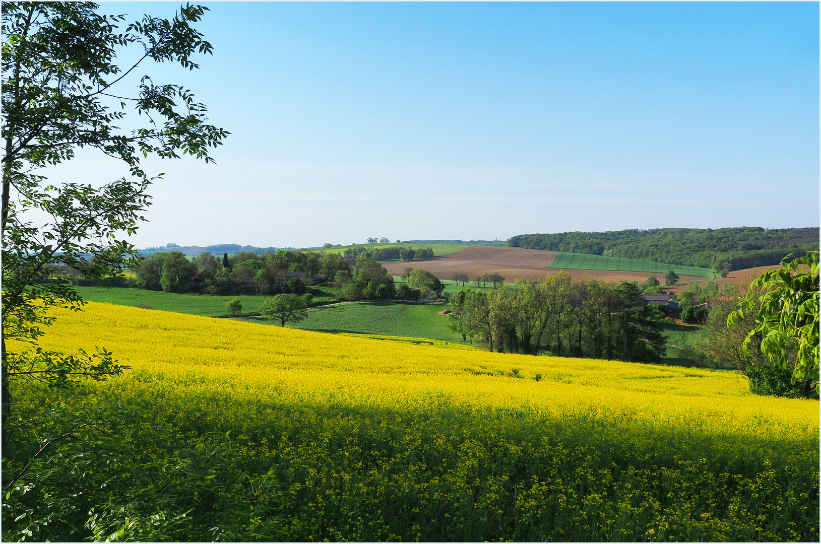 La campagne gersoise près de Lectoure