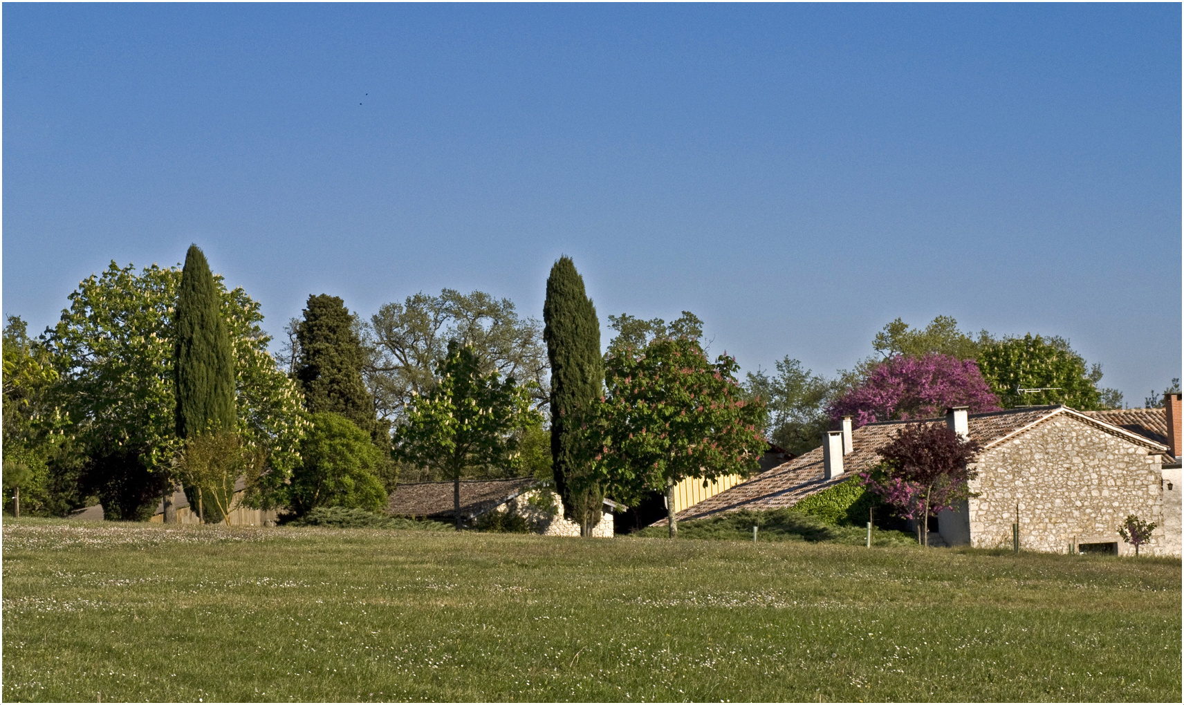  La campagne gersoise près de Lectoure, au printemps