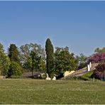  La campagne gersoise près de Lectoure, au printemps