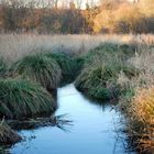 La campagne Guideloise