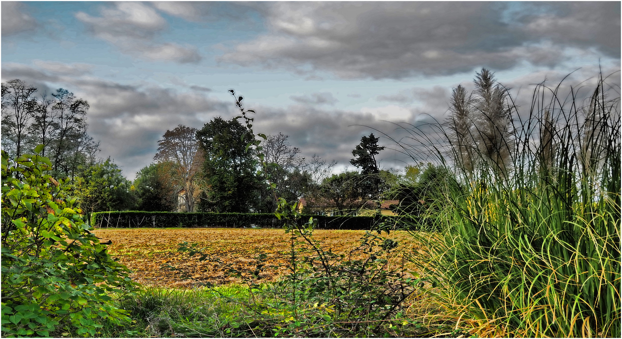 La campagne près de chez moi