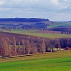 La campagne près de chez moi en février