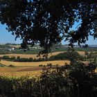  La campagne près de Lectoure  --  Gers