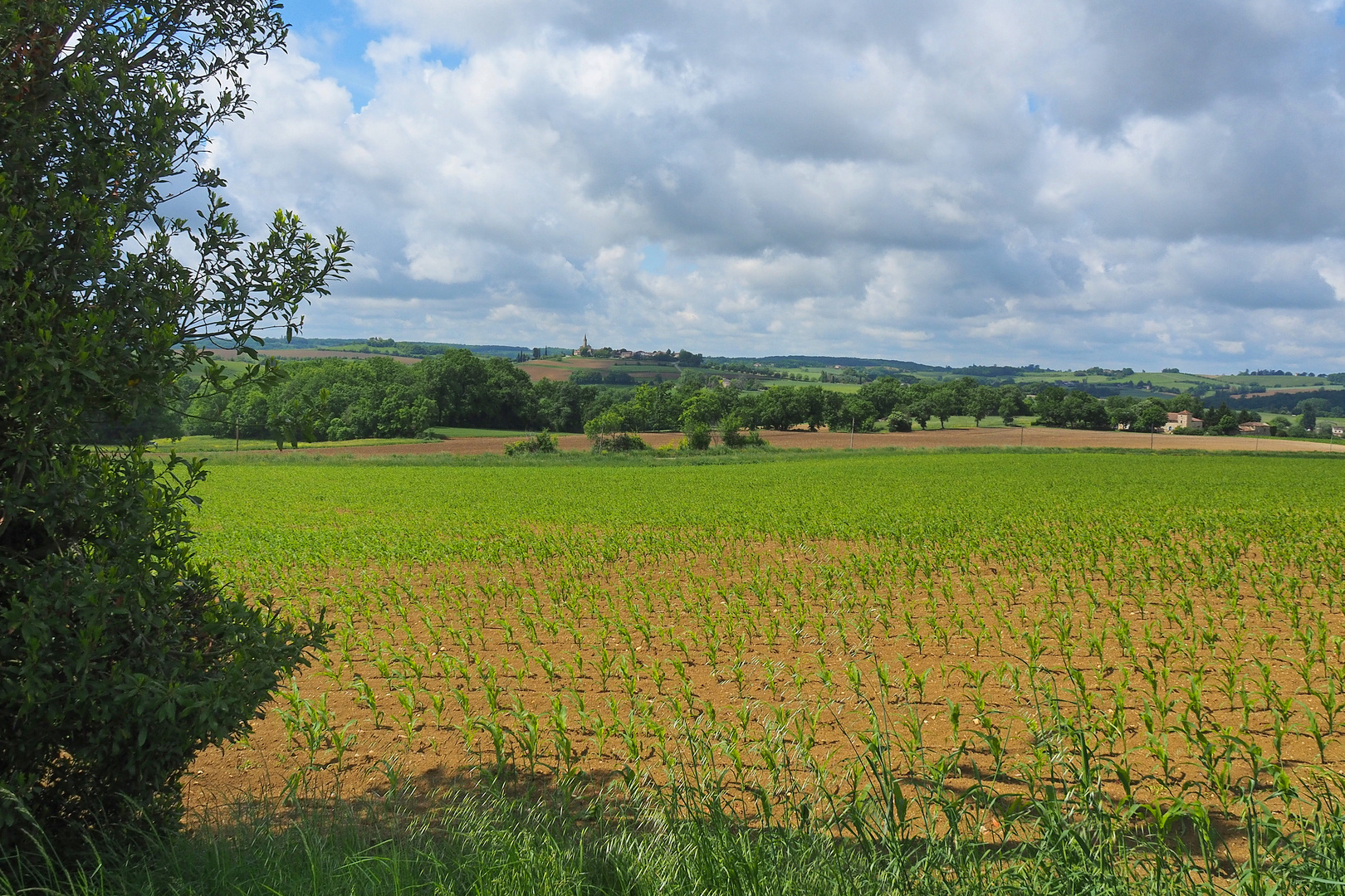 La campagne près du village de Blaziert – Gers