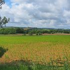 La campagne près du village de Blaziert – Gers