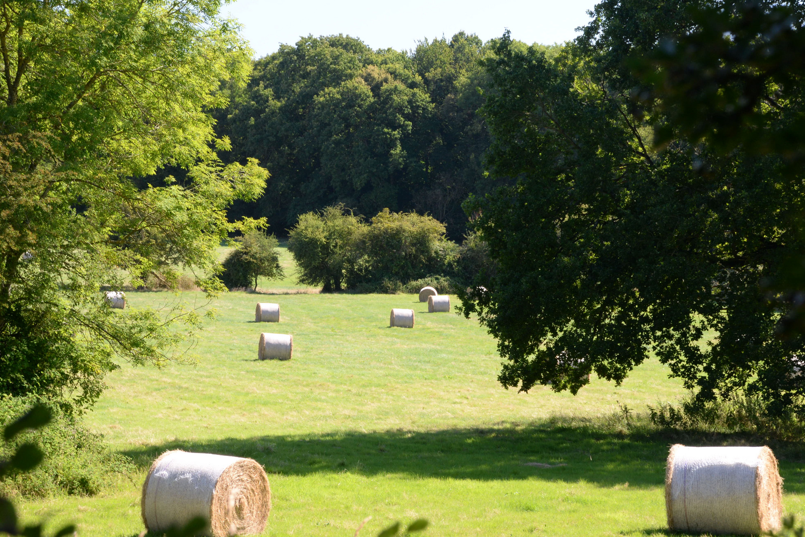 La campagne sarthoise