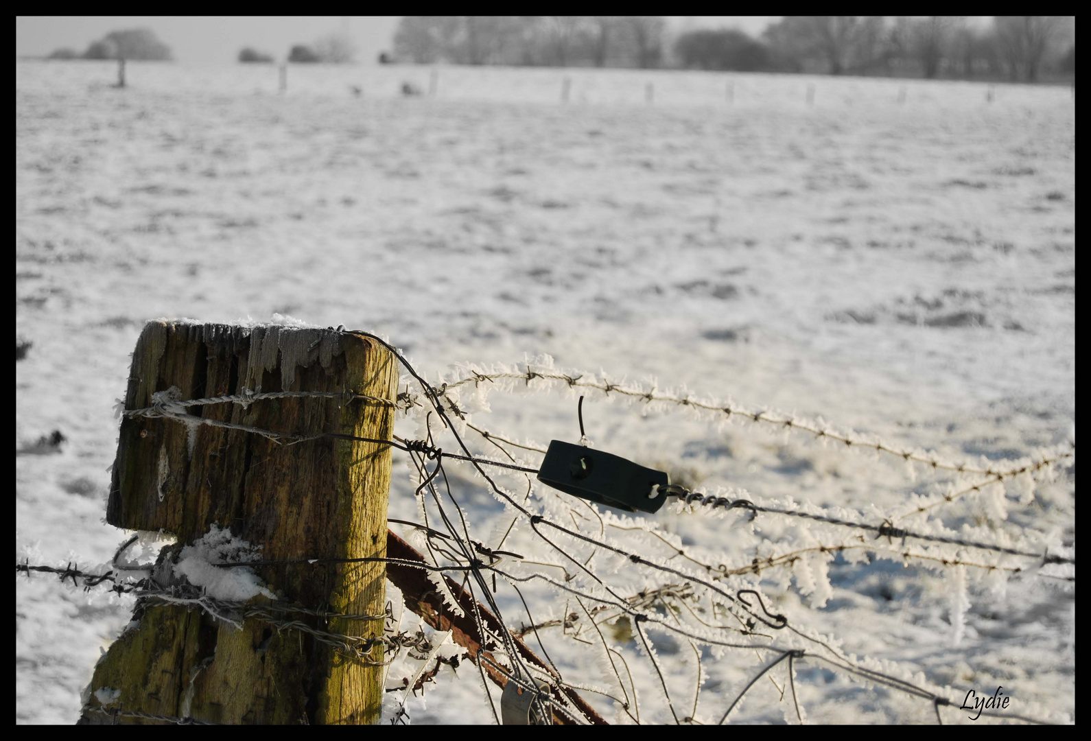 La campagne sous la neige