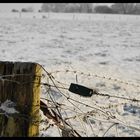 La campagne sous la neige