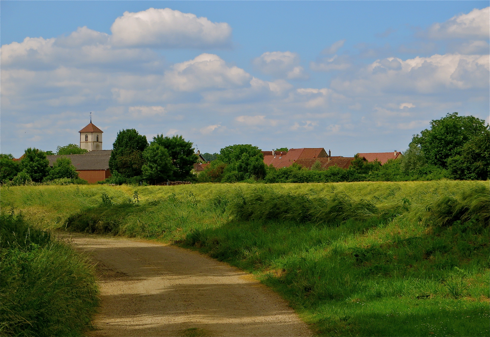 ...la campagne vers Molay !!!...