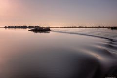 la carezza del mattino