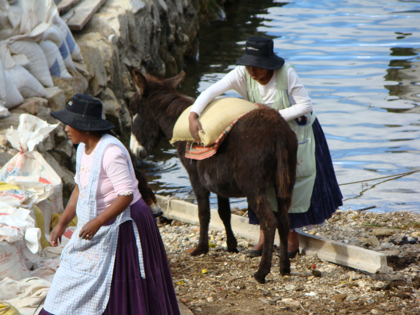 La carga