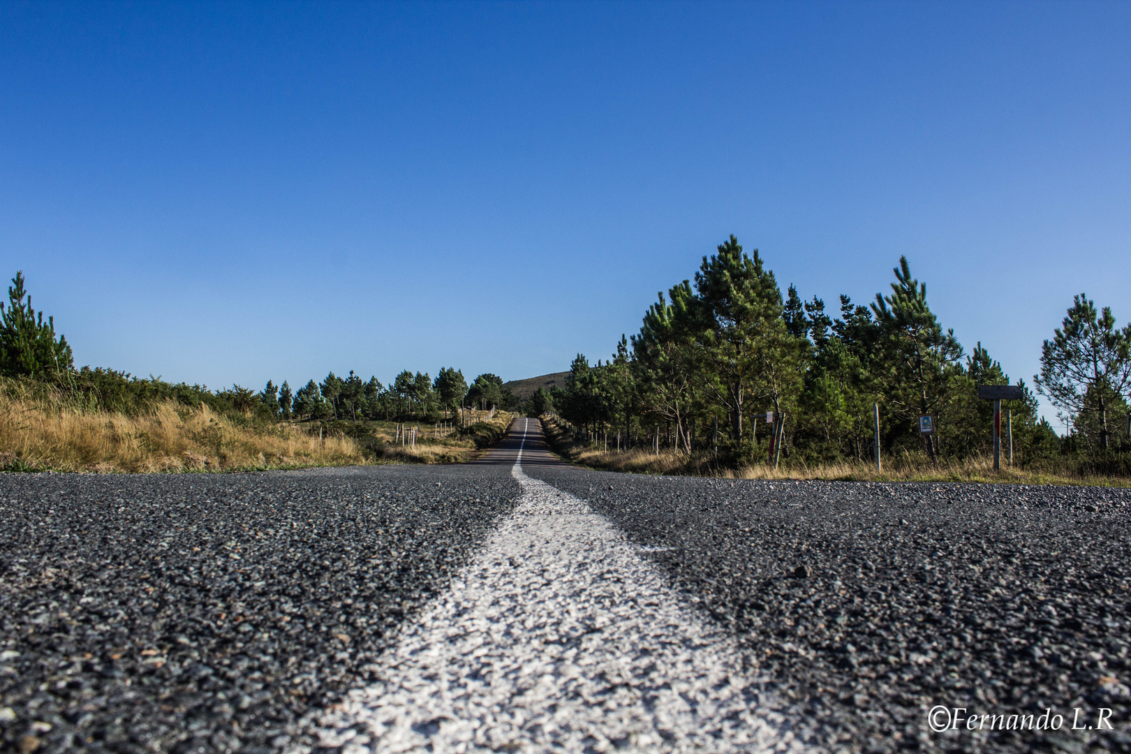 la carretera en el monte