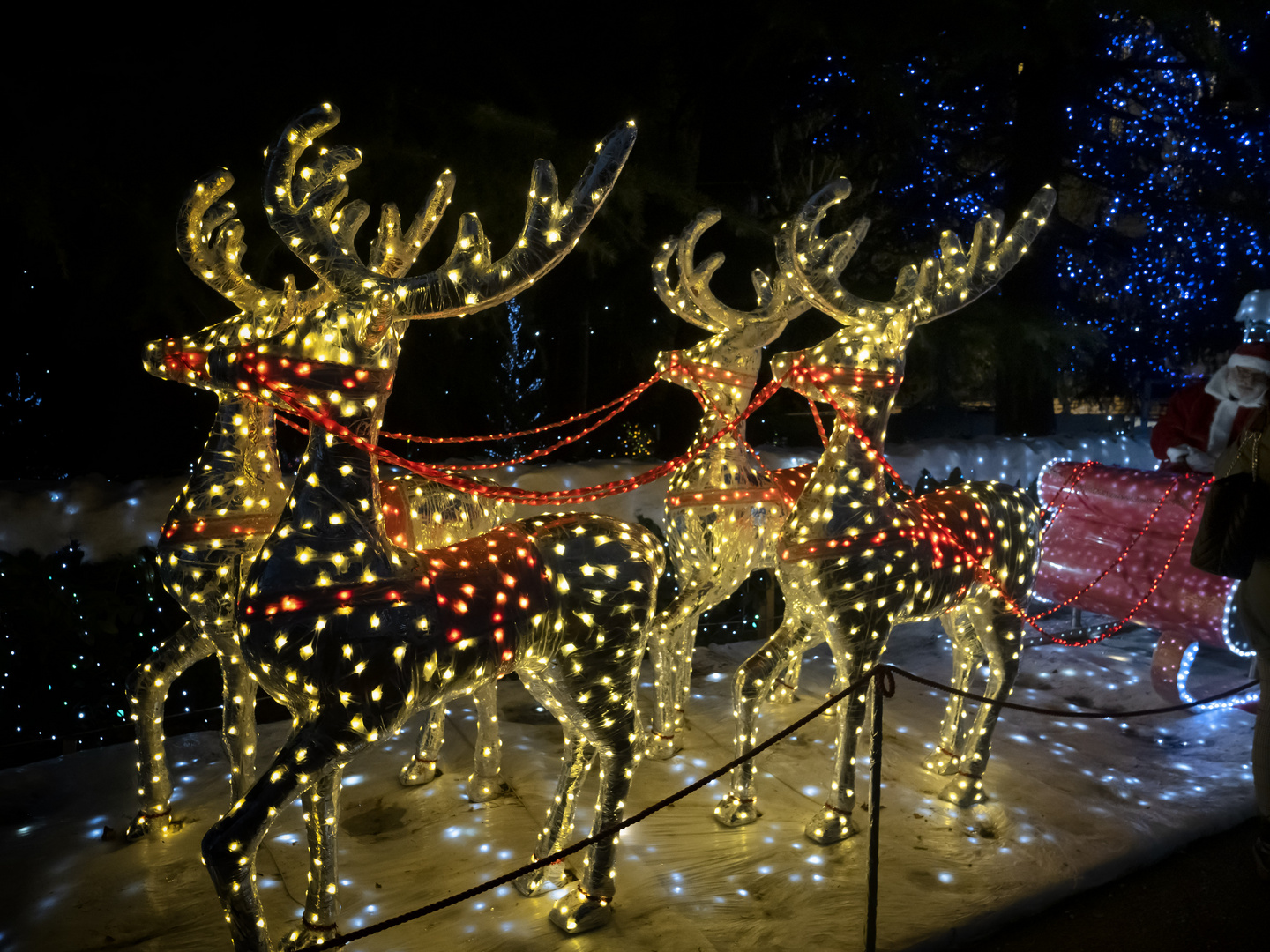 La carrozza di Babbo Natale