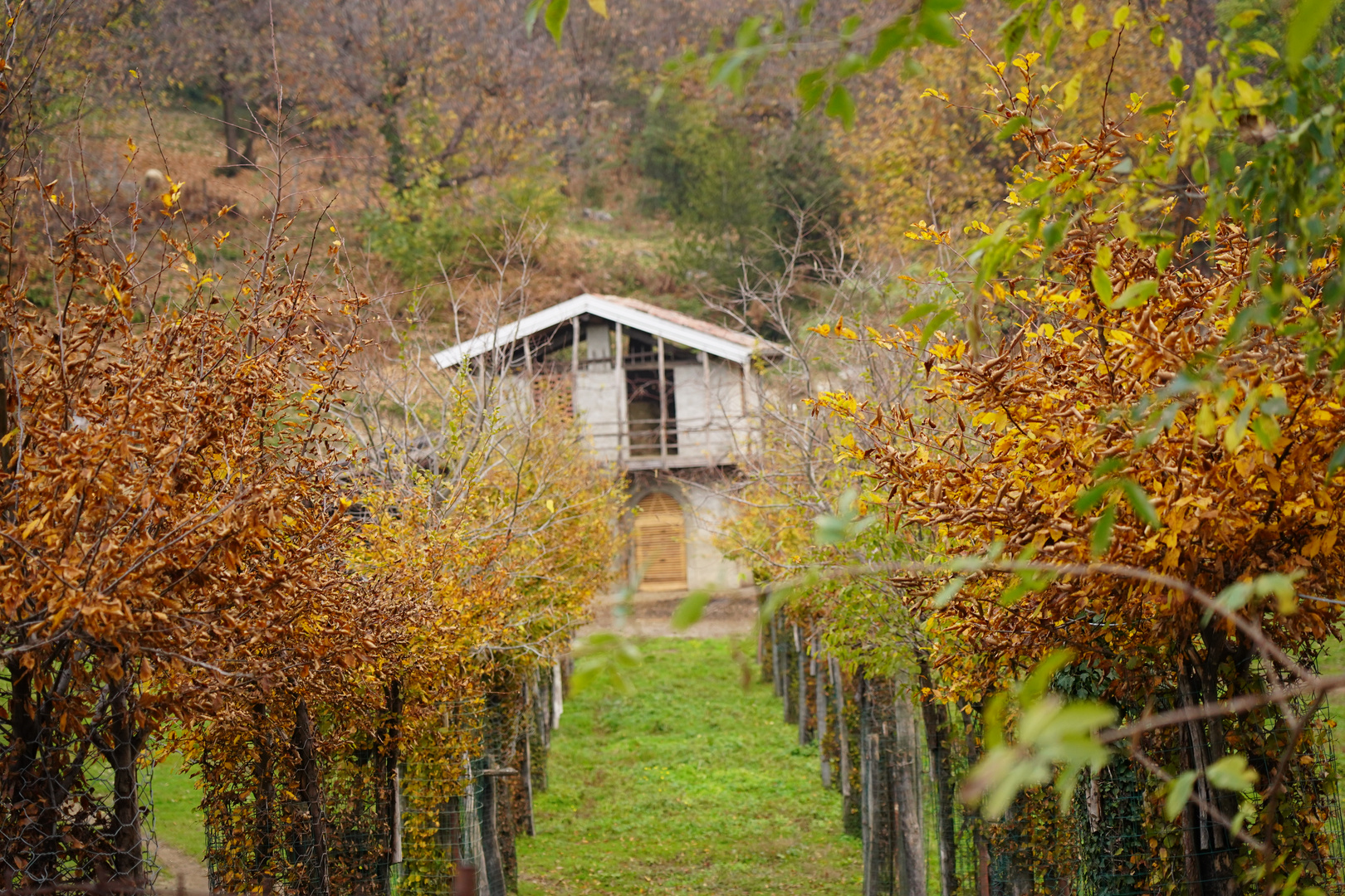 La casa d' autunno