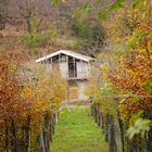 La casa d' autunno