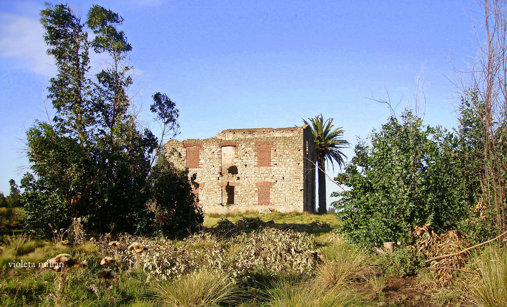 LA CASA DE LOS VASCOS