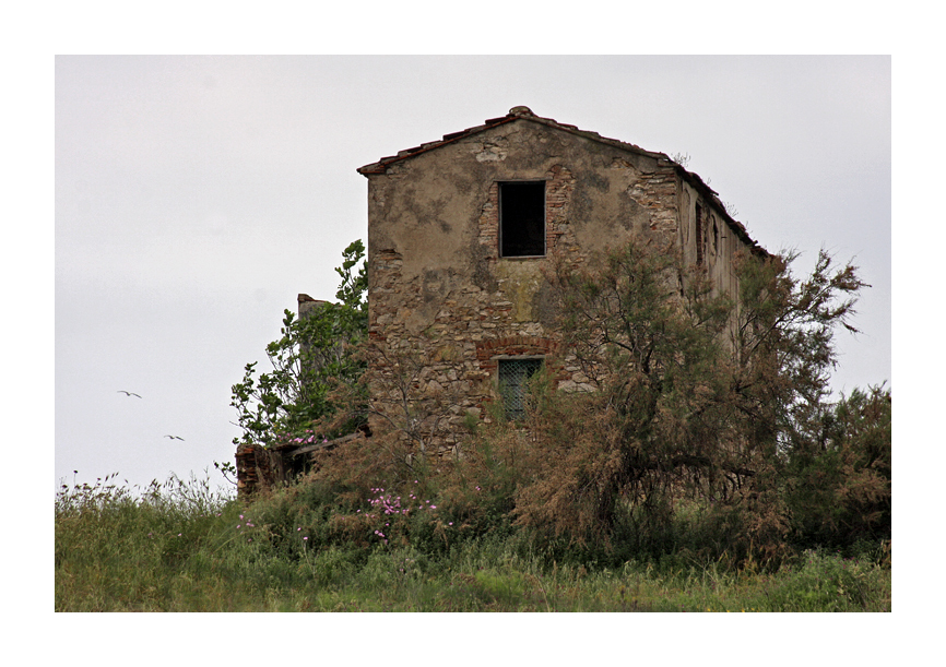 La casa dei gabbiani