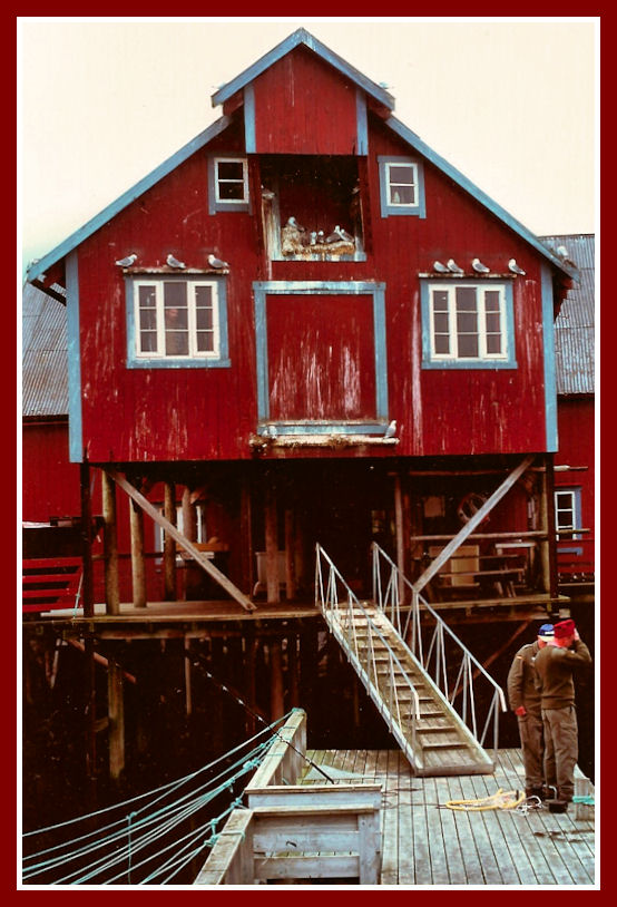 La casa dei gabbiani Isole Lofoten