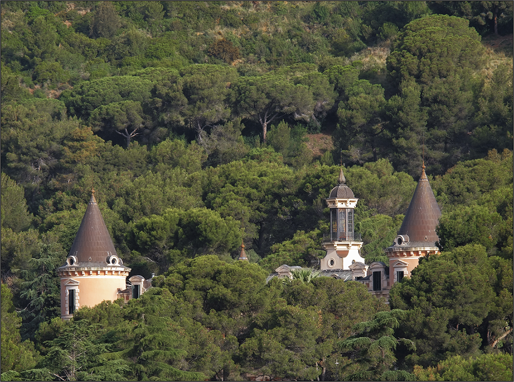 La casa del bosque