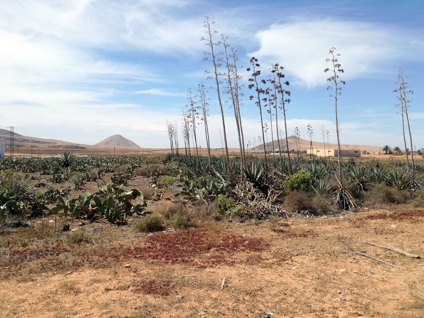 La Casa del Capellan, La Oliva, Fuerteventura