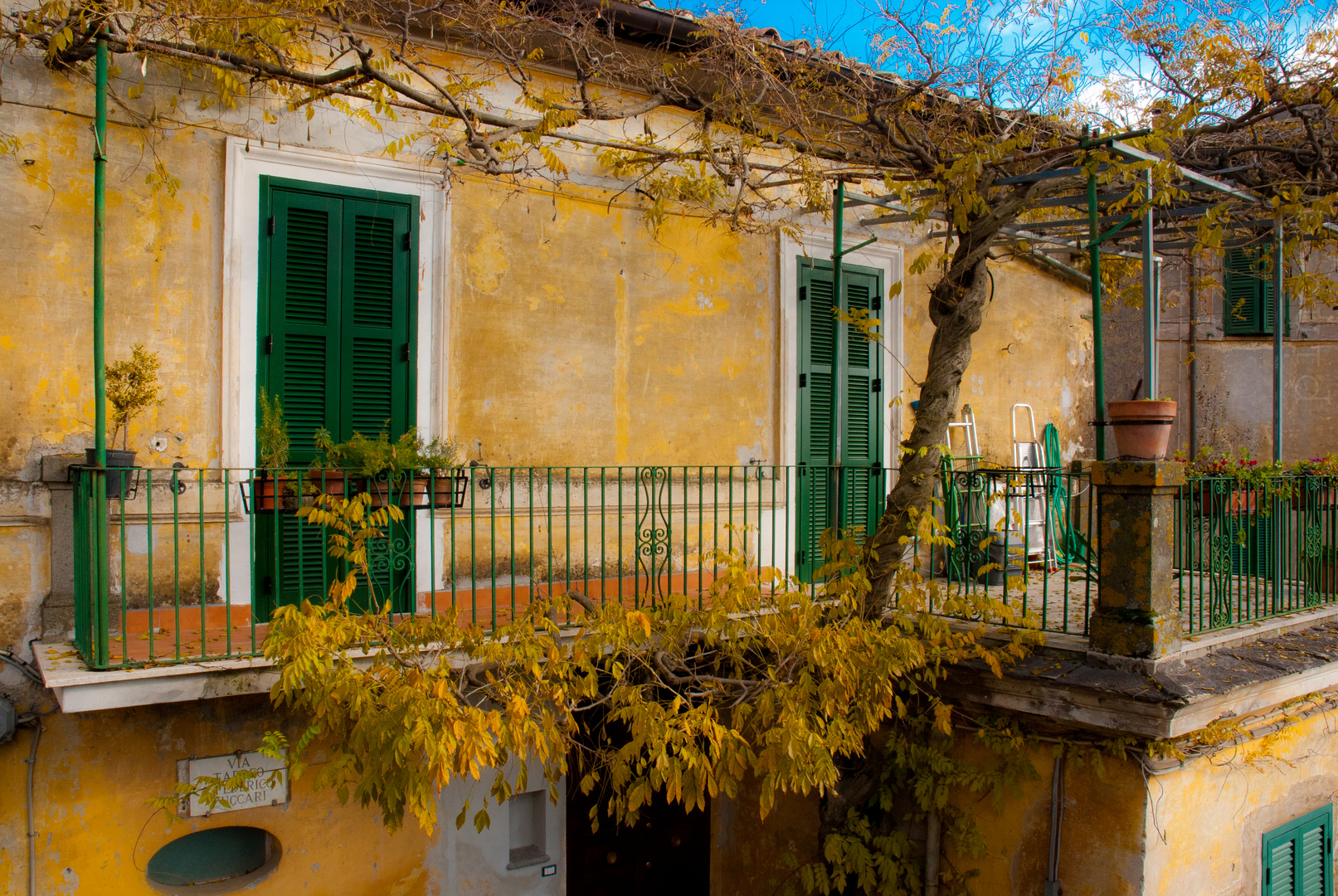 la casa del glicine caduco...