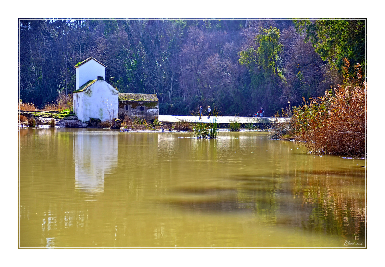 LA CASA DEL RÍO