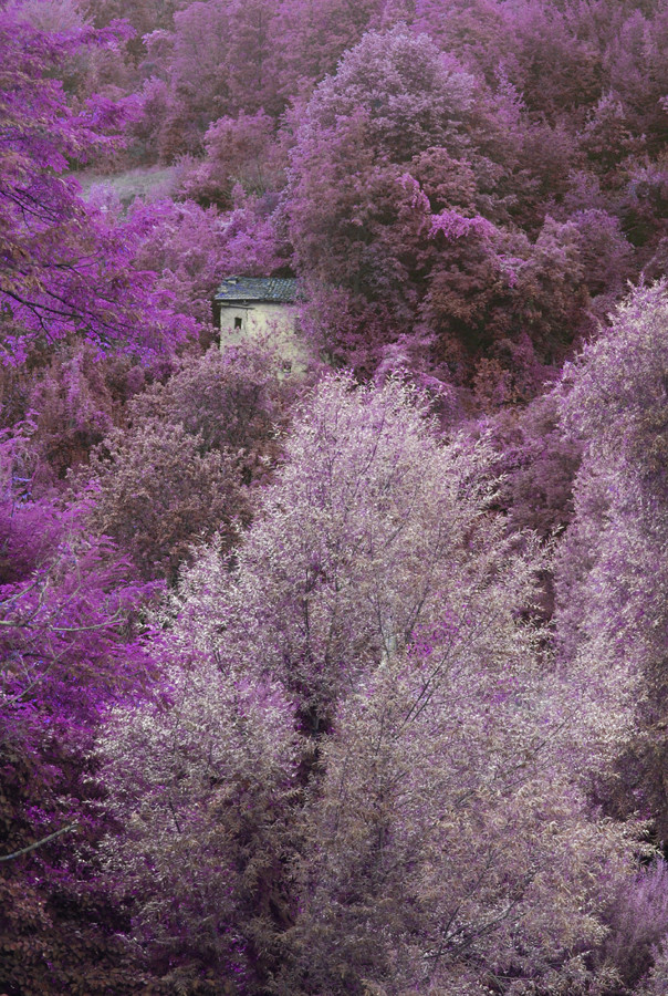 La casa delle streghe