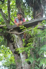 La casa en el arbol