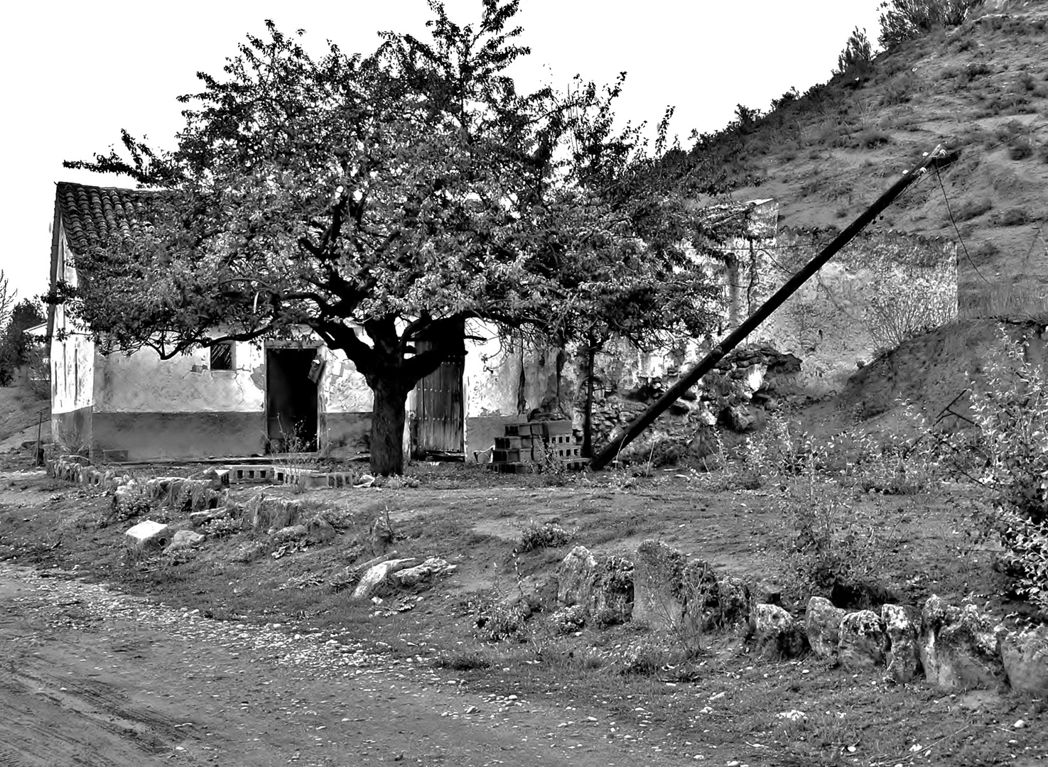 LA CASA EN LA MONTAÑA