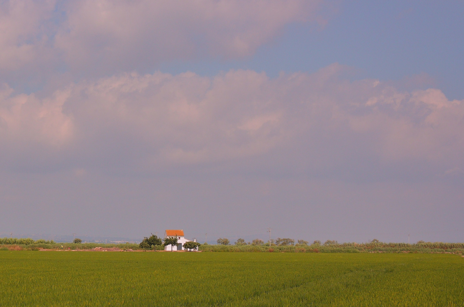 la casa entre los arrozales