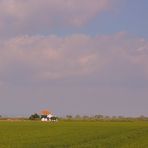 la casa entre los arrozales