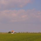 la casa entre los arrozales