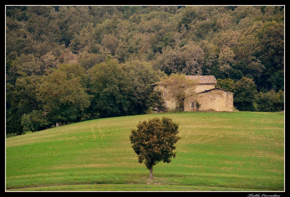 ..la casa nel bosco..