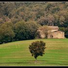 ..la casa nel bosco..