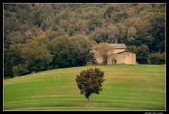 ..la casa nel bosco..