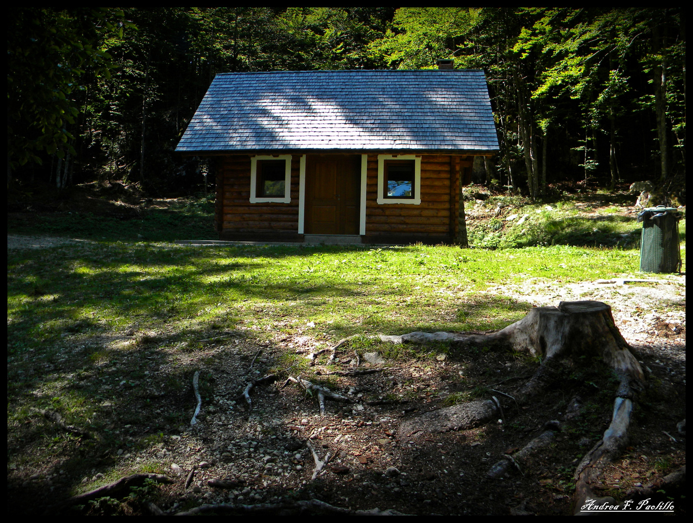 La casa nel bosco