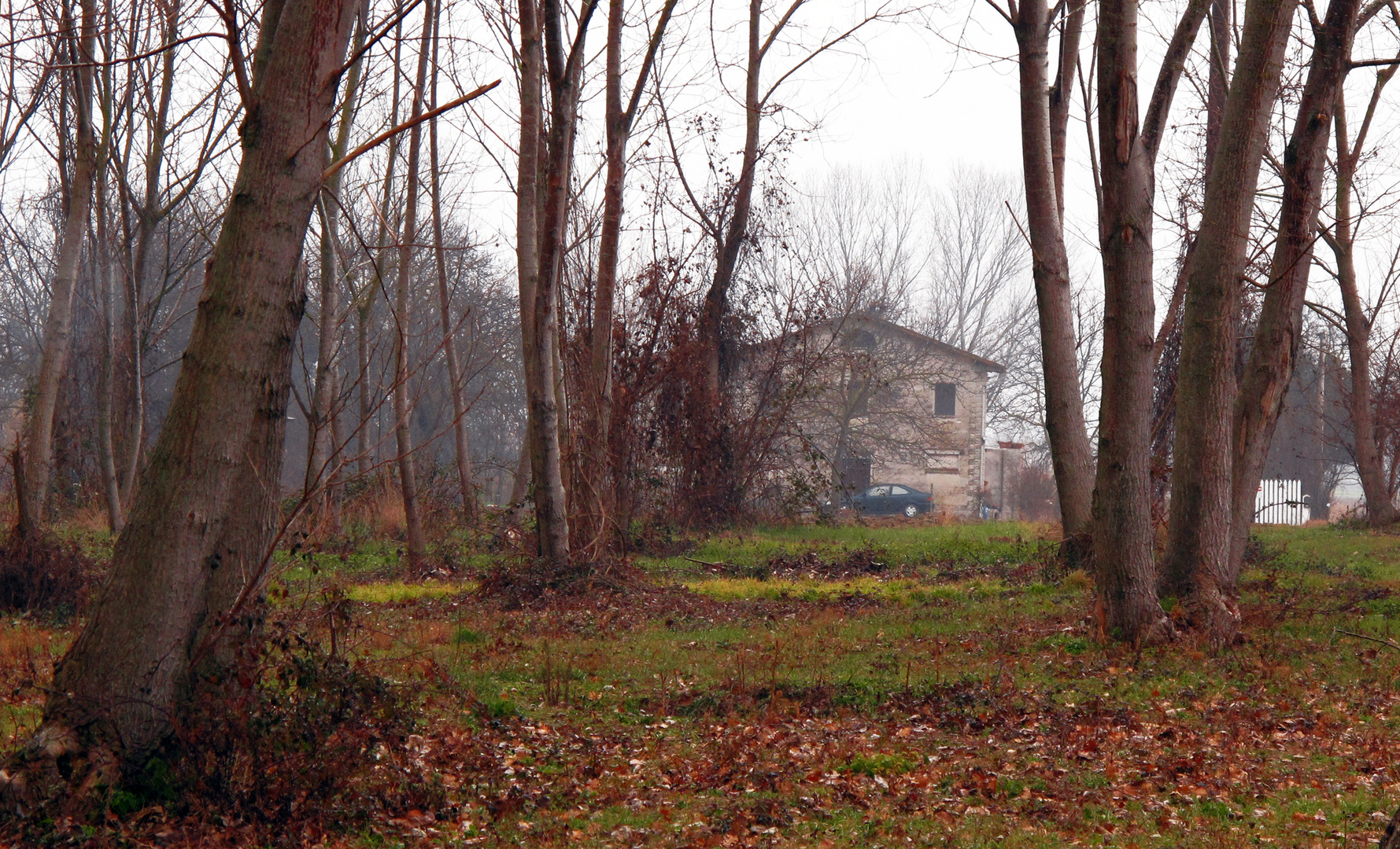 la casa nel bosco