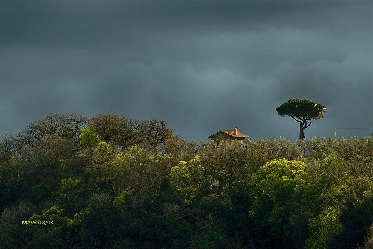 La casa nel bosco