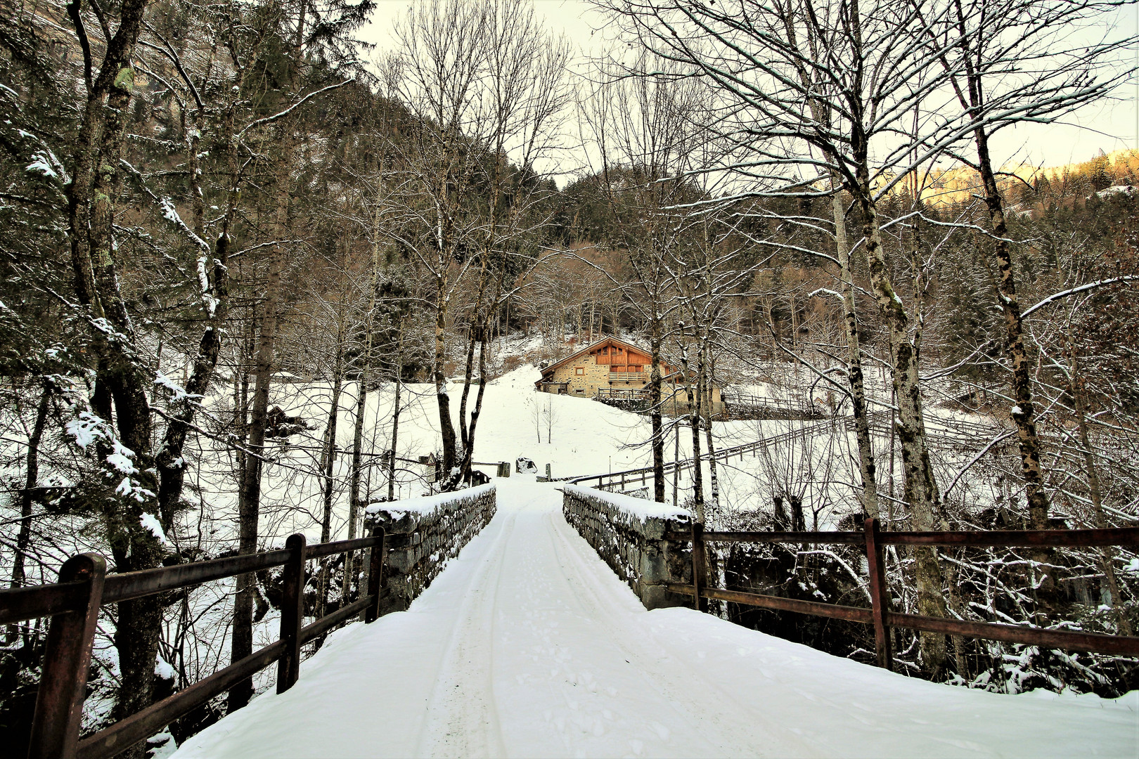 La casa nel bosco