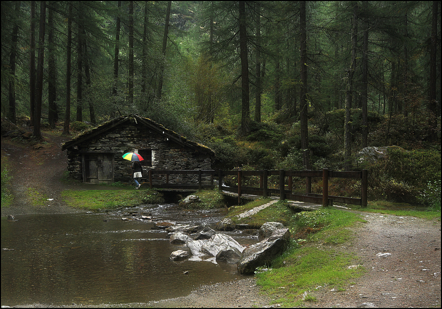 ... LA CASA NEL BOSCO ...