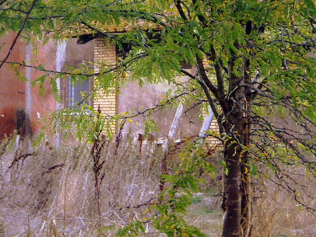 La casa nel bosco