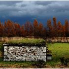 la casa nel campo